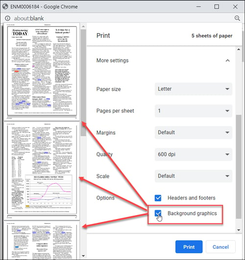 49 - 05 - PDF Viewer Print Settings02