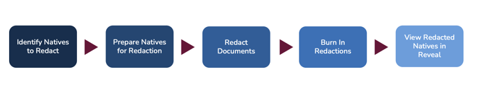 NATIVE REDACTION PROCESS FLOW